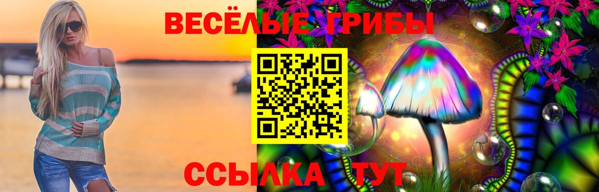 Псилоцибиновые грибы ЛСД Нефтекумск